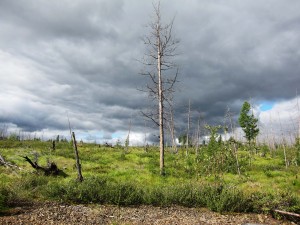 Окрестности озера Лабынкыр